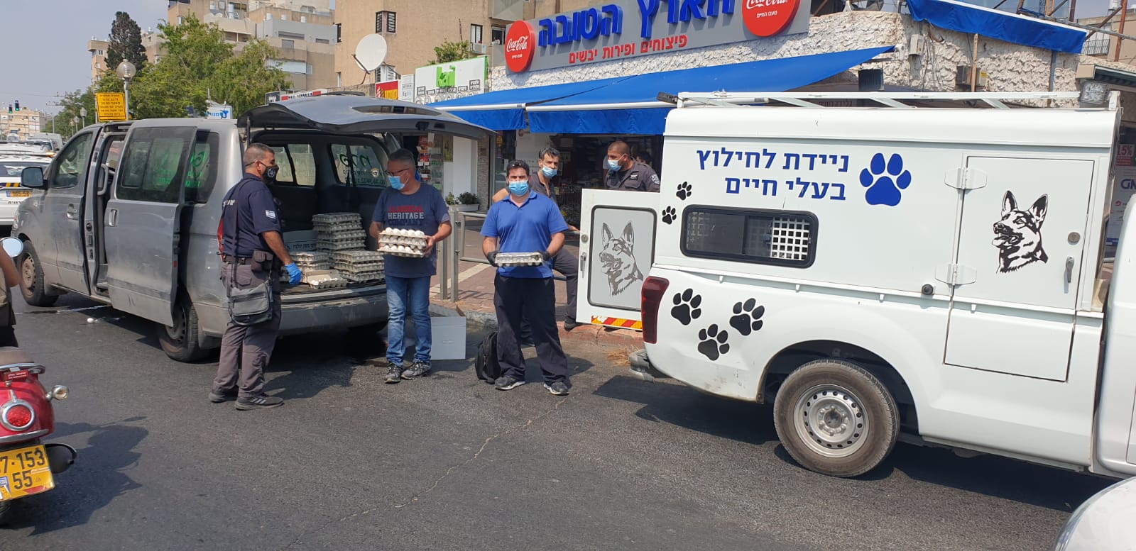 חולון: ביצים לא ראויות למאכל בקריית שרת