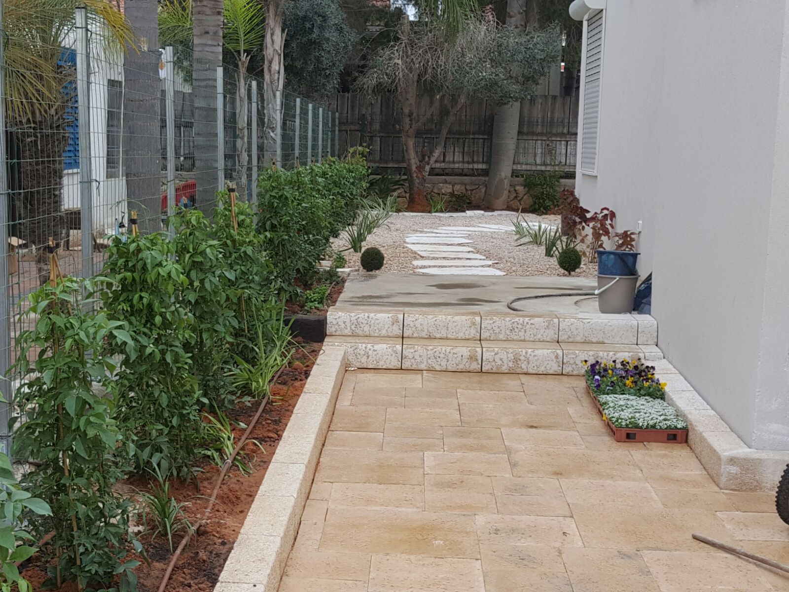 צילום: נוף ירוק גינון ופיתוח בע"מ