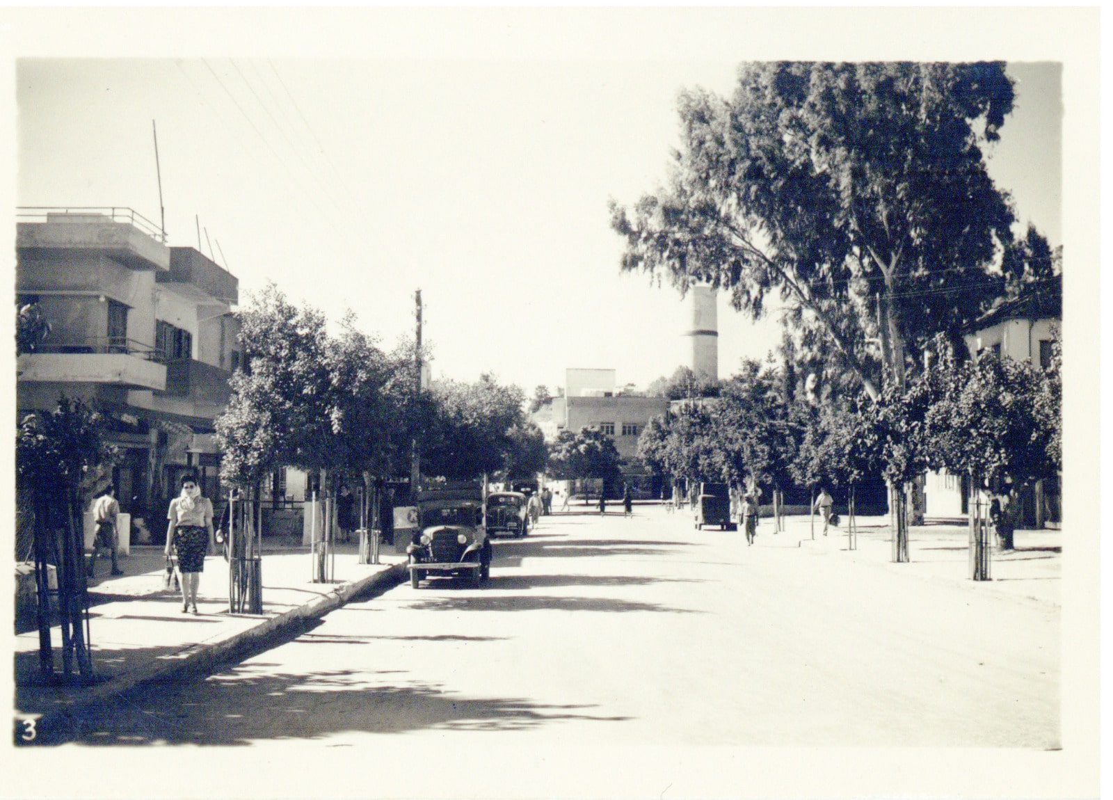 רחוב יעקב, בית המועצה והאקליפטוס הישן. באדיבות ארכיון רחובות 