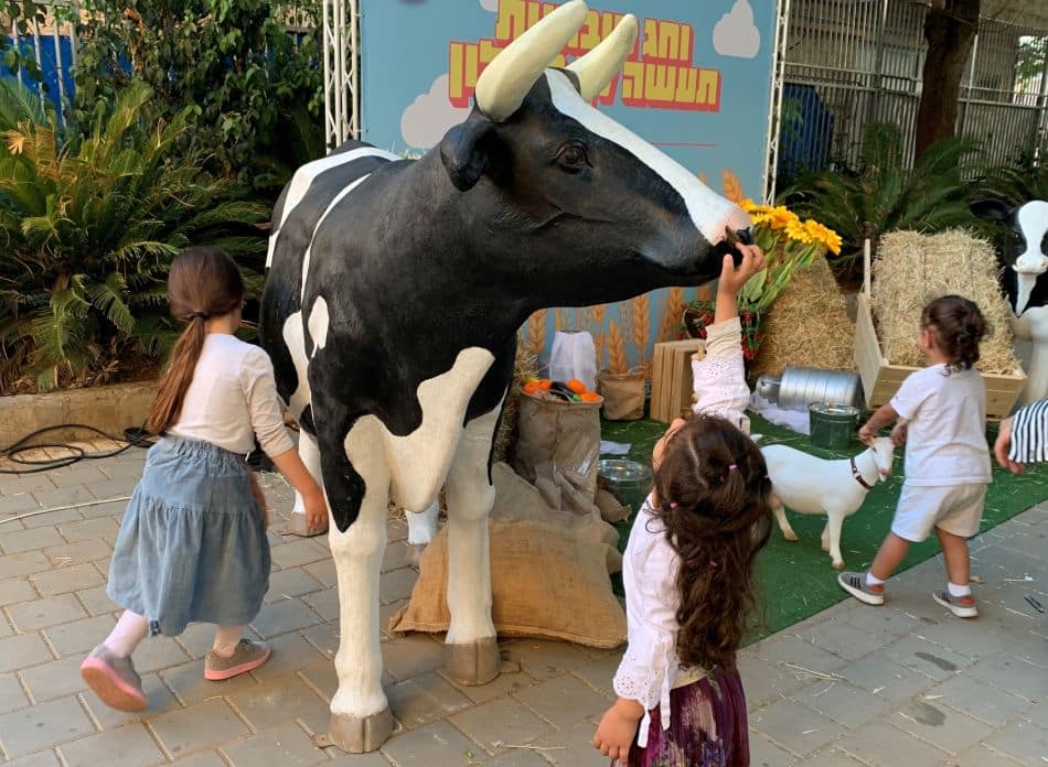 חולון: כך חגגנו, קצת אחרת