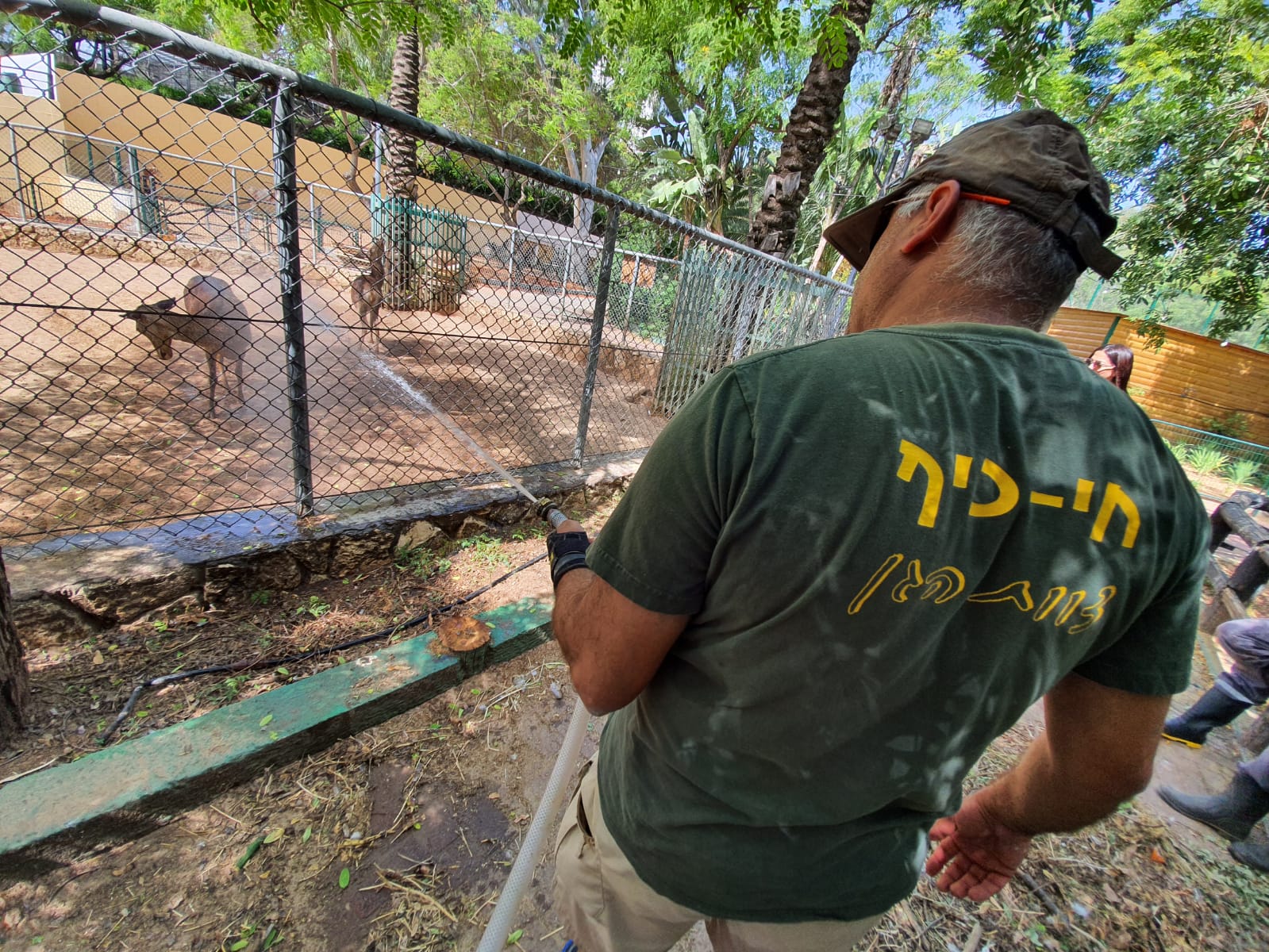 צילום: עיריית ראשון לציון

