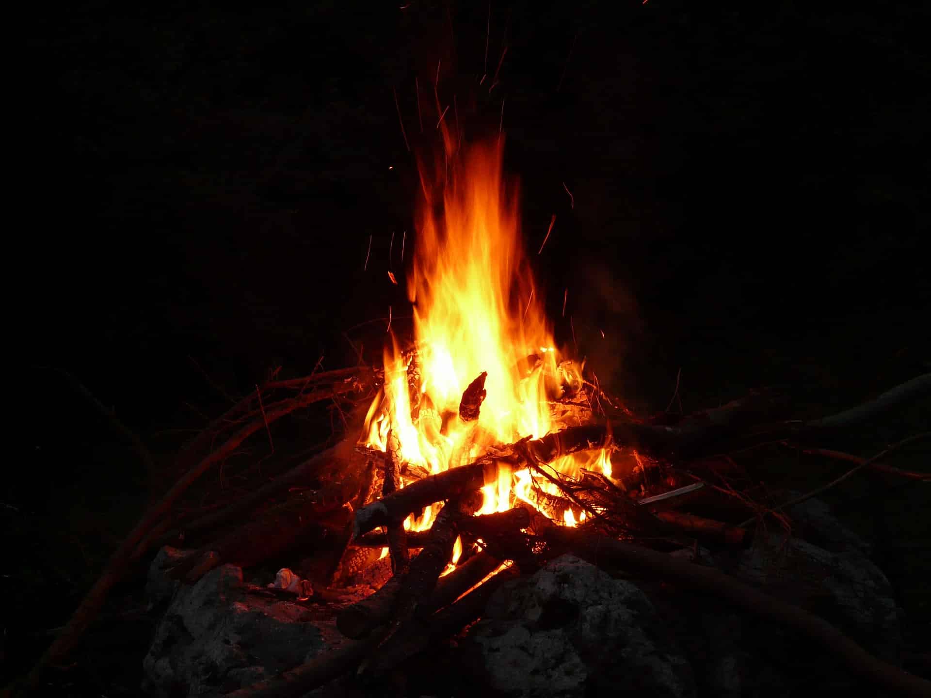אילוסטרציה Pixabay