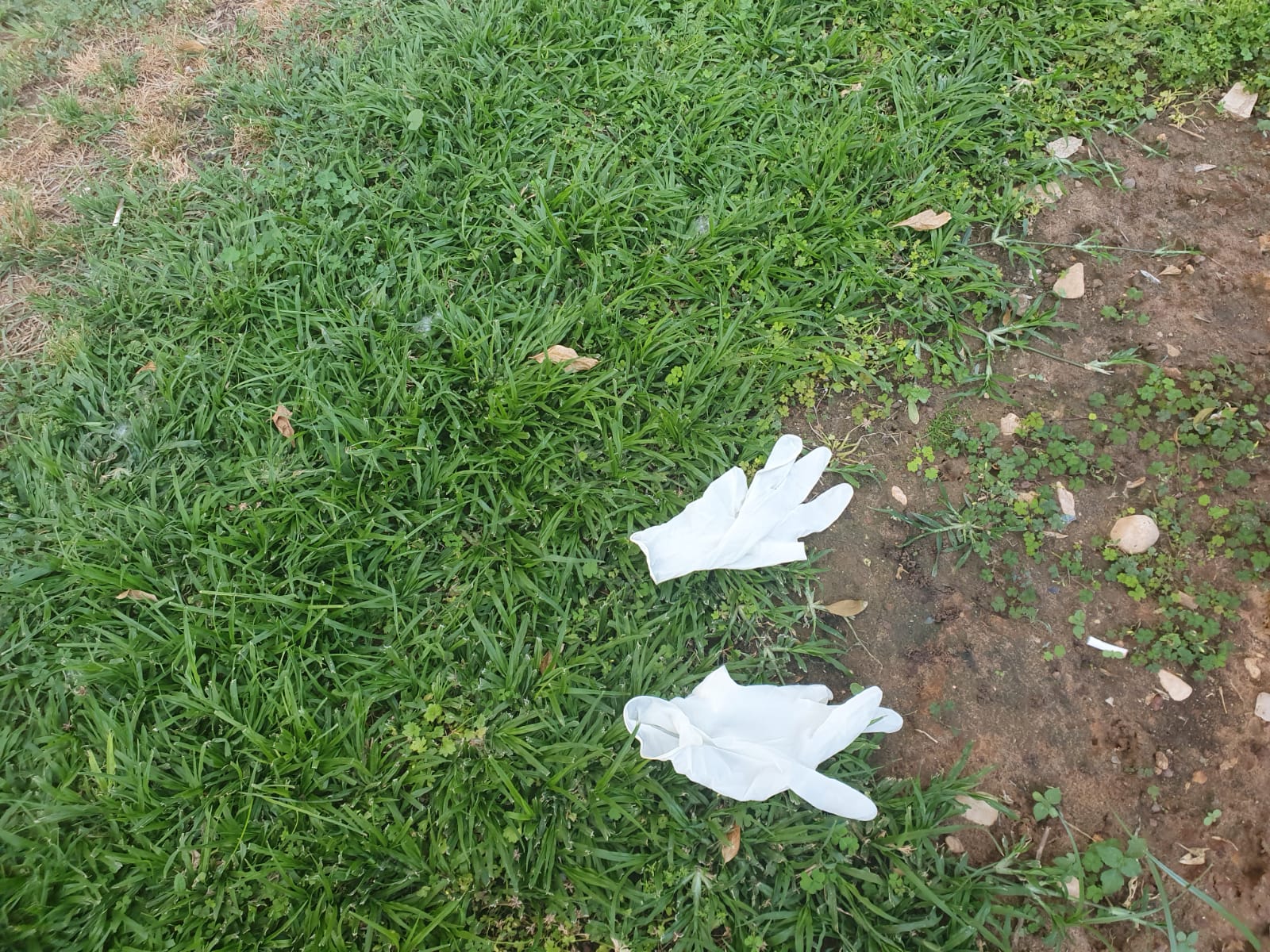 צילום: פרטי