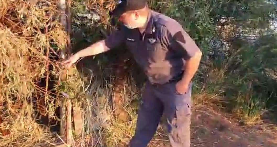 הפקח המסייע מאתר את השטח. צילום: דוברות העירייה 