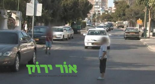 צילום: עמותת אור ירוק