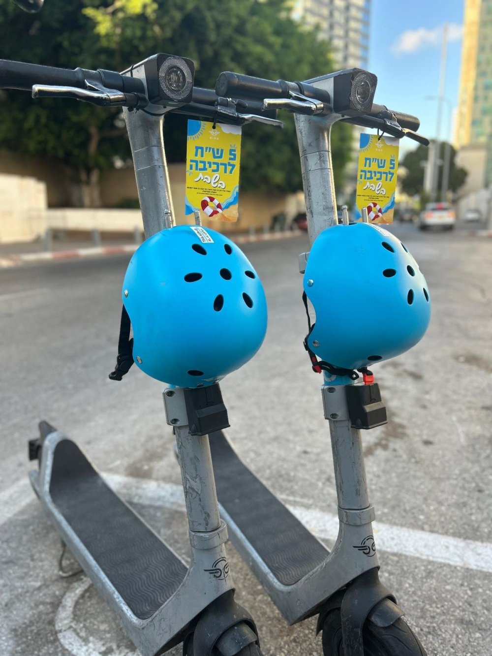 נוסעים בזול 
