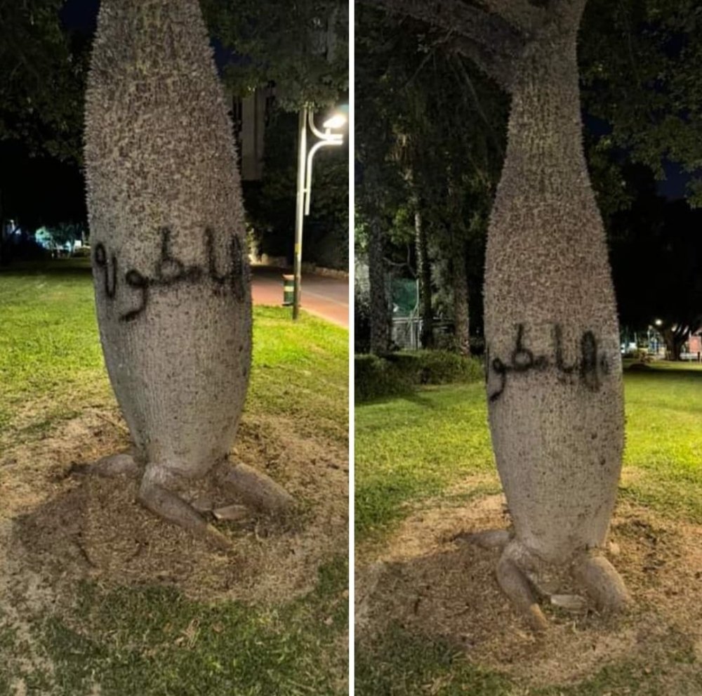 מי ריסס כתובת גרפיטי מאיימת בערבית על העצים בעיר?