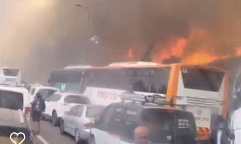 10 נפגעים מהשרפות הגיעו לאסף הרופא
