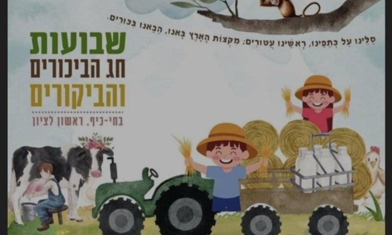 כך תבלו ב"חיי כיף" בחג שבועות