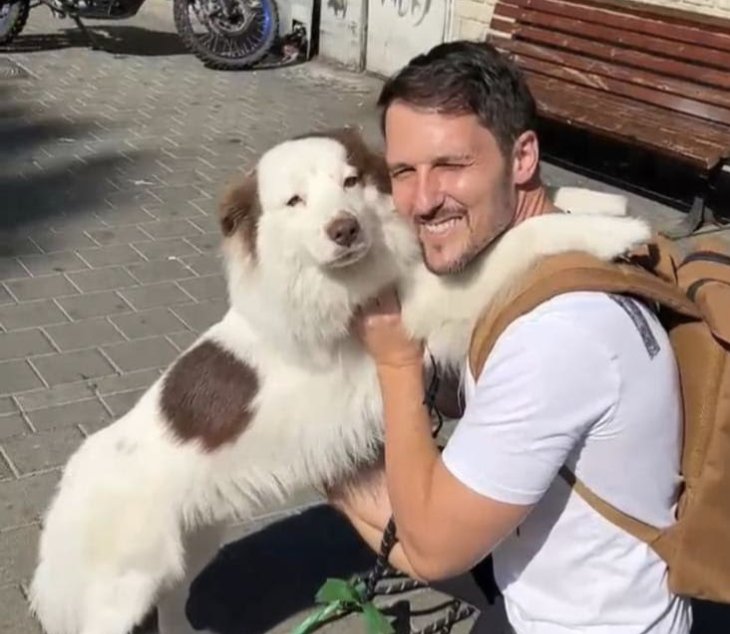 בסופ״ש: יום אימוץ כלבים ברמת גן