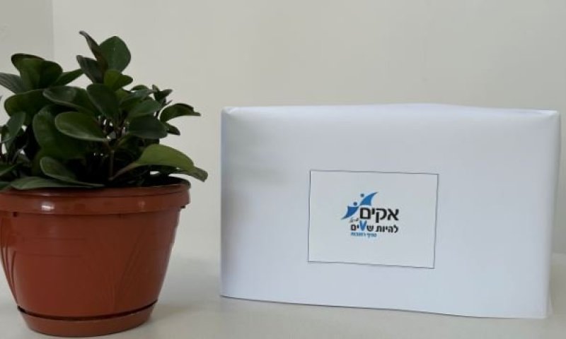 אקים ישראל הארגון הארצי לאנשים עם מוגבלות שכלית ולמשפחותיהם (ע"ר) - סניף רחובות: הודעה על קיום בחירות בסניף