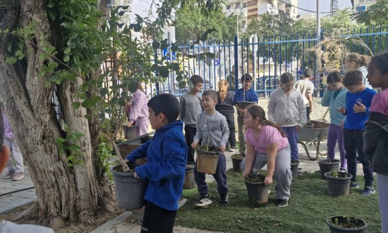ראשון לציון: תלמידי בית ספר בארי מנביטים תקווה, משתילים עצים לשיקום הצפון
