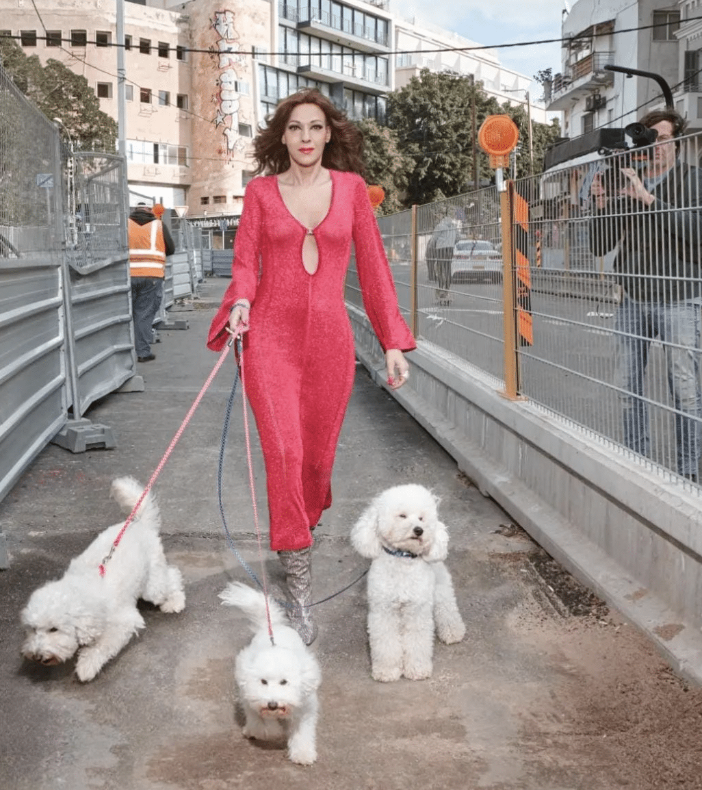יש אישה גדולה מהחיים: דנה אינטרנשיונל במסר נוקב לנשיא ביידן