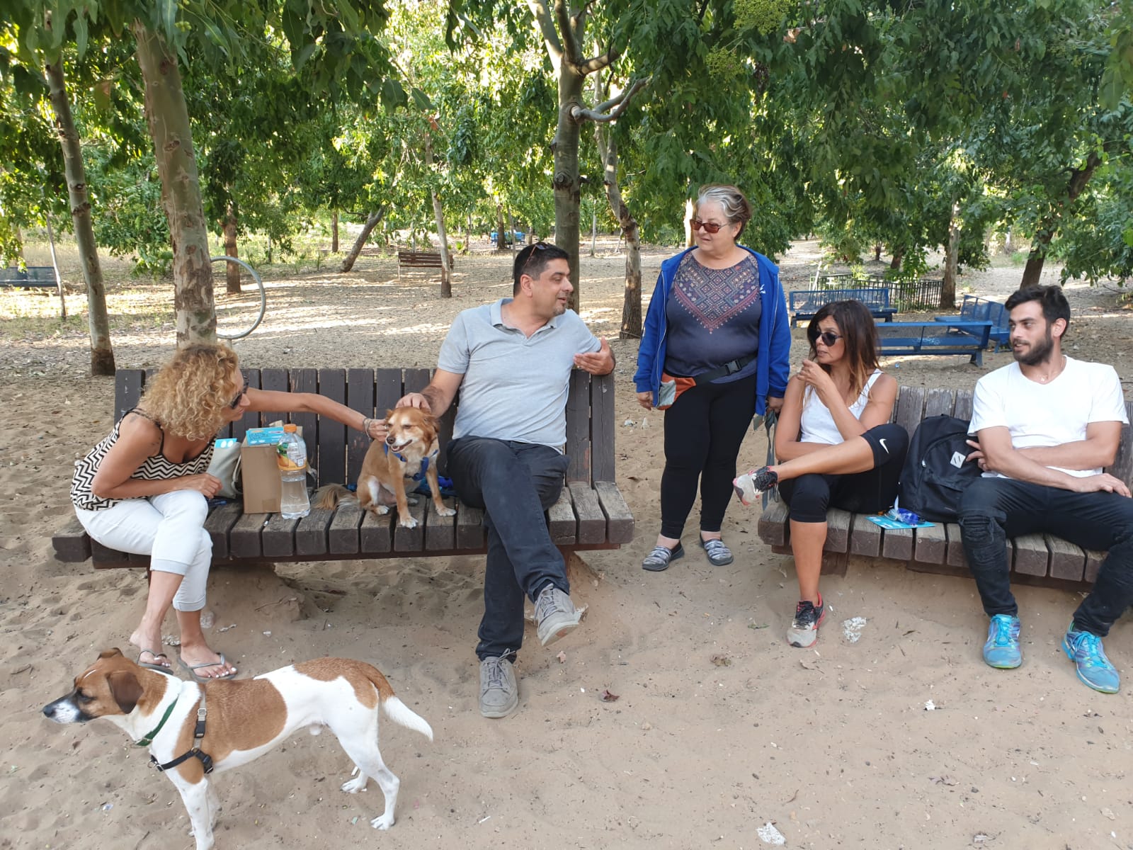 הווטרינרים מגיעים אל גינות הכלבים בחולון