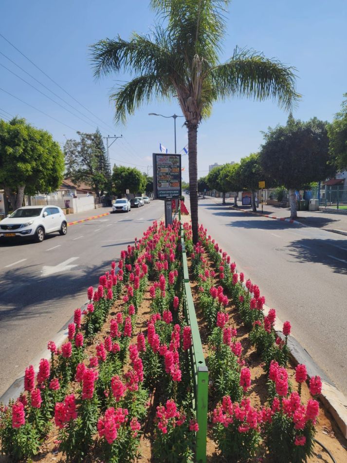 יום הזיכרון ויום העצמאות: אלו הכבישים שיסגרו לתנועה במהלך החג