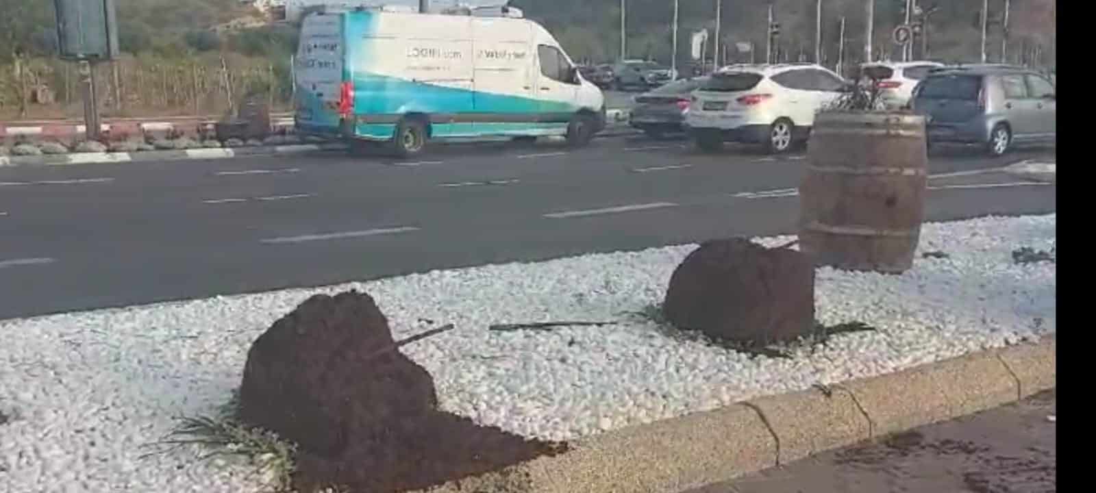 ראשון לציון:מכת גניבת עציצי נוי ברחבי העיר