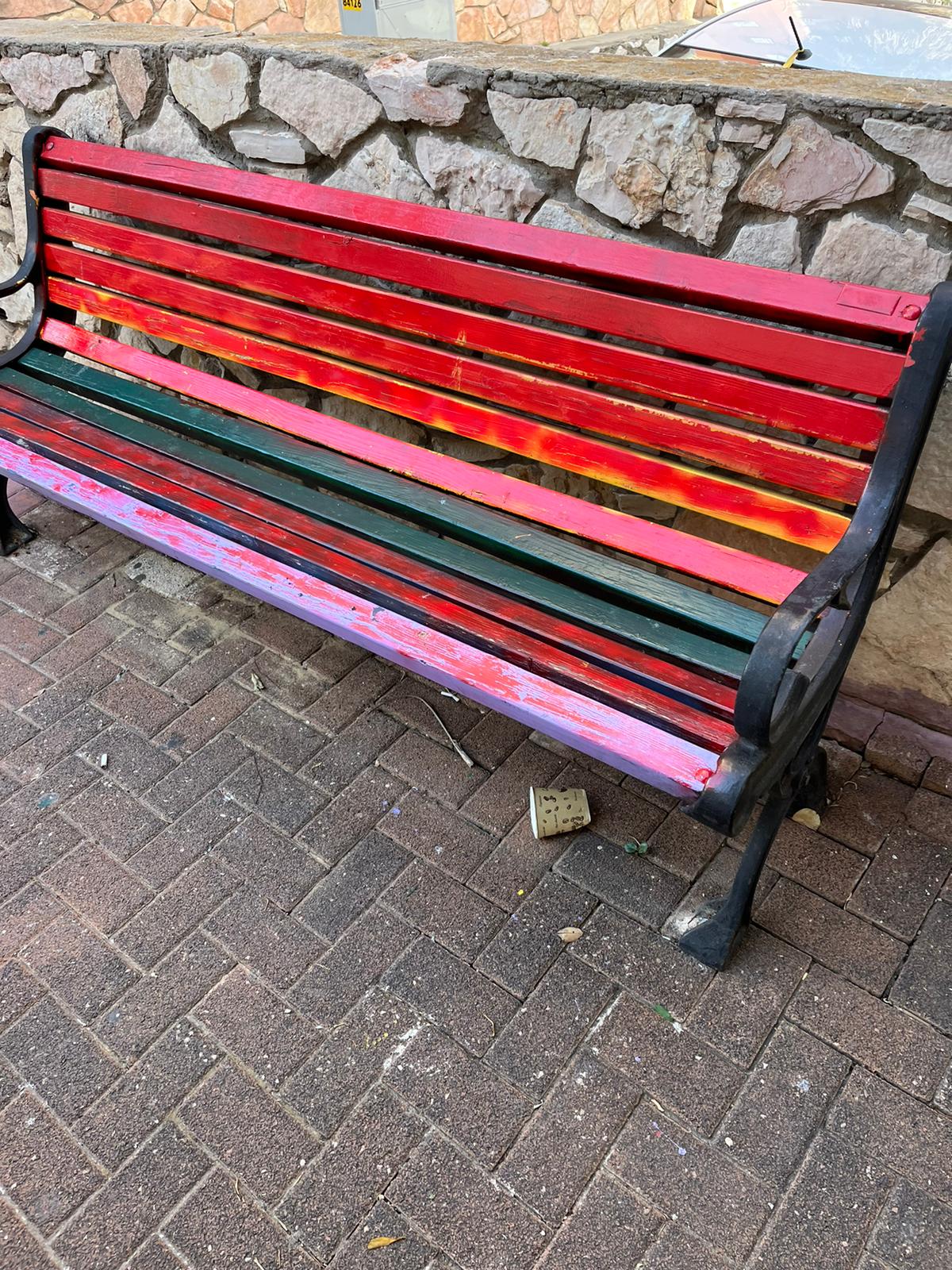 צילום: שניר מרציני