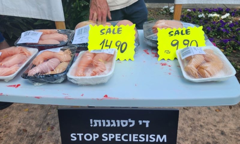 מה עשו גופות בעלי חיים במדרחוב ראשון לציון ביום שישי?