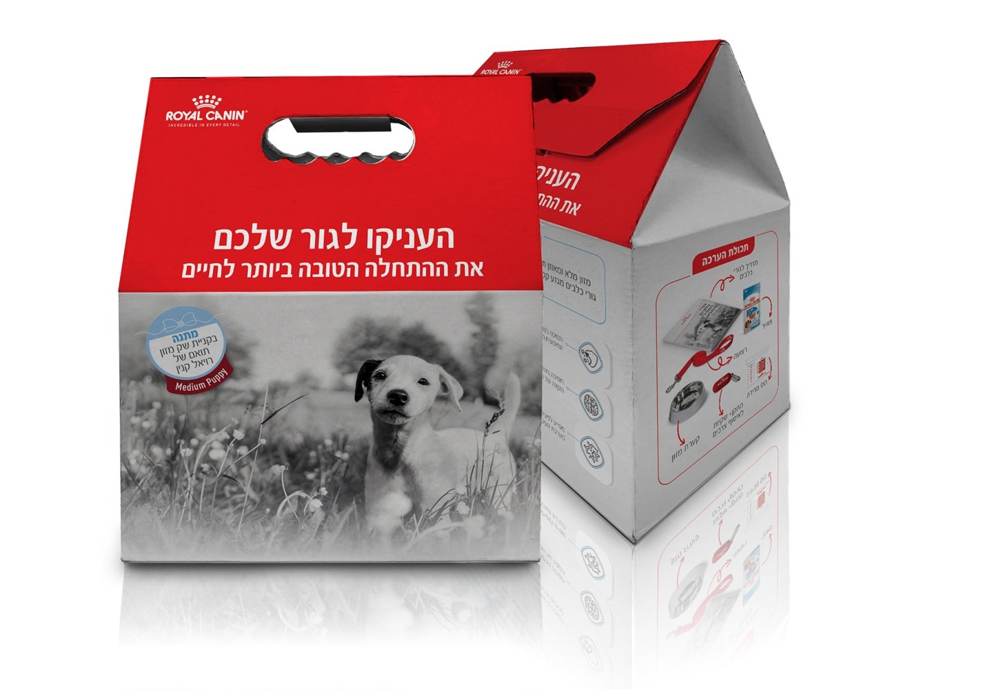 רויאל קנין (Royal Canin) משיקה ערכות מבצע לעידוד תזונה מותאמת ובריאה לגורי כלבים וחתולים 