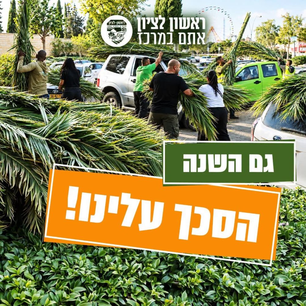 חלוקת סכך בחינם: עיריית ראשון לציון נערכת לחג הסוכות