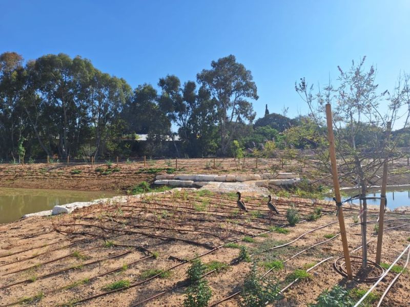 בריכת החורף המחודשת. צילום:עיריית חולון