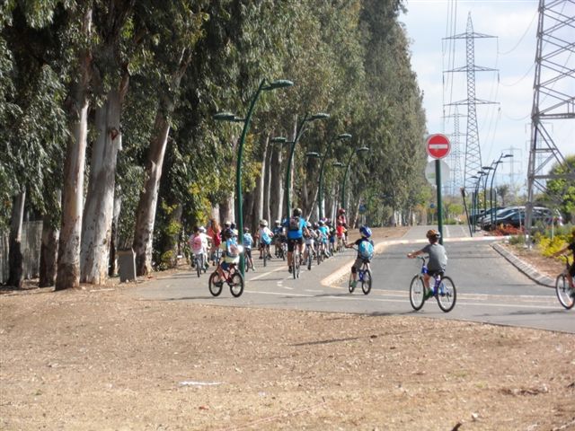 חולון אחת הערים עם הכי הרבה רוכבי אופניים שנפגעו בתאונות