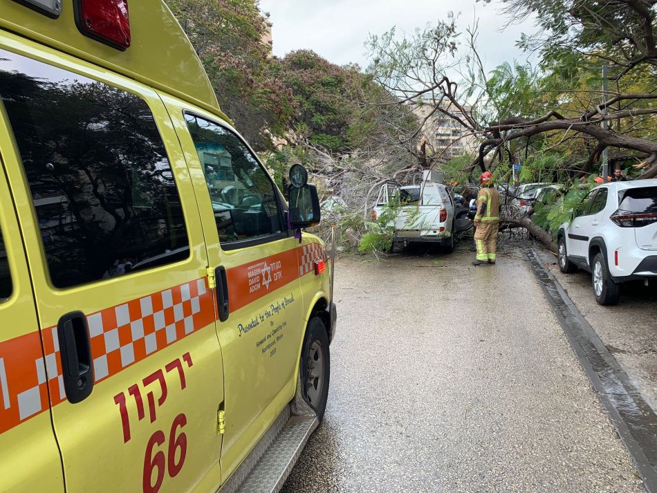 עץ קרס על רכב בשכונת בן גוריון