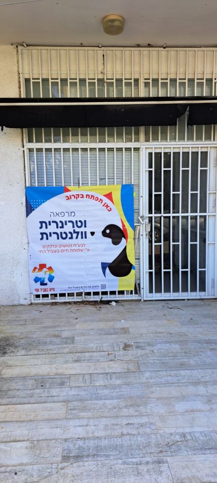 חדש בראשון לציון: טיפול בכלבים נזקקים ובחינם
