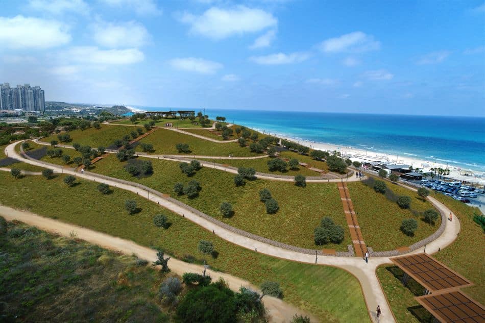 הדמיה: ברוידא מעוז