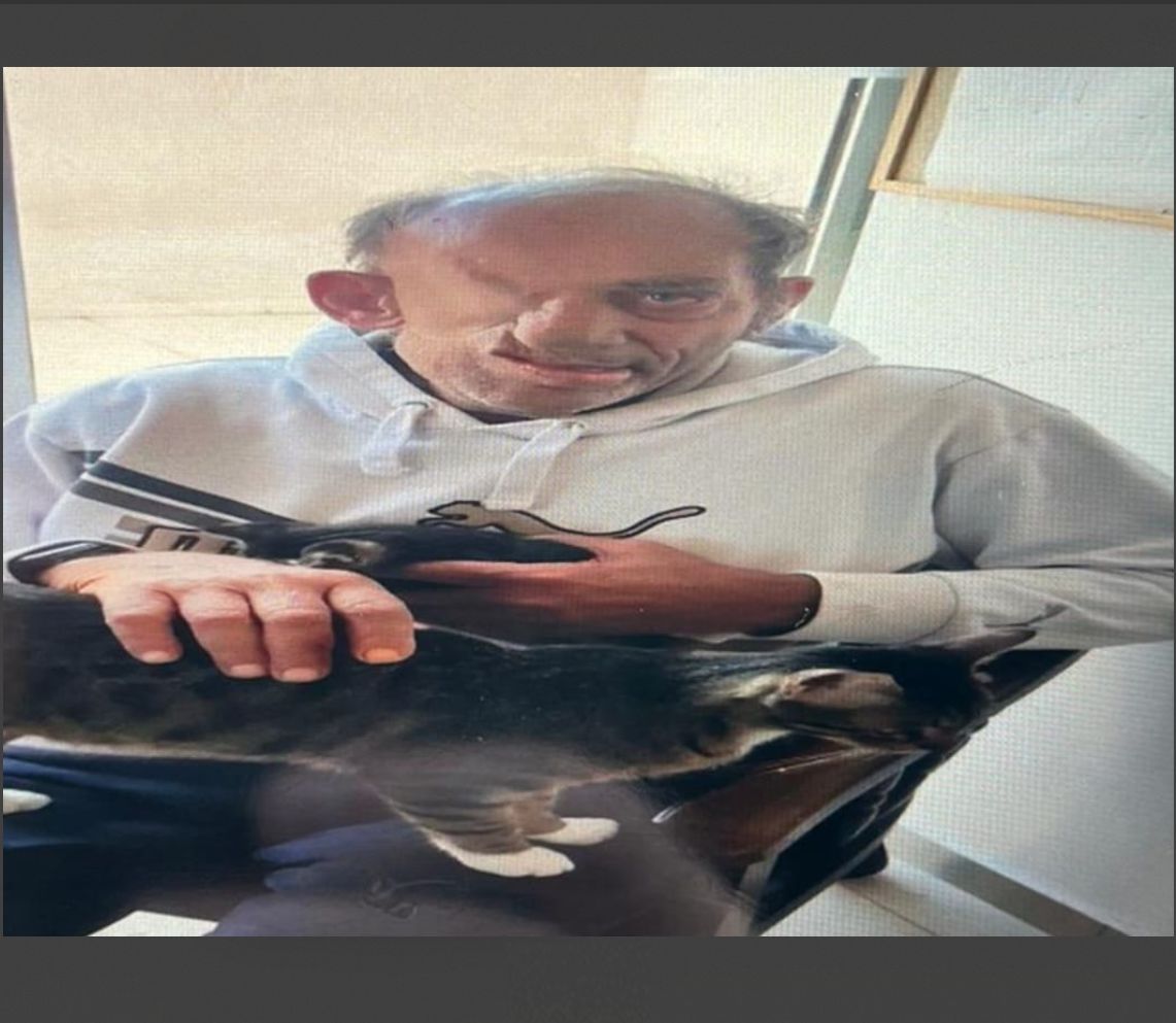 חיים חמו