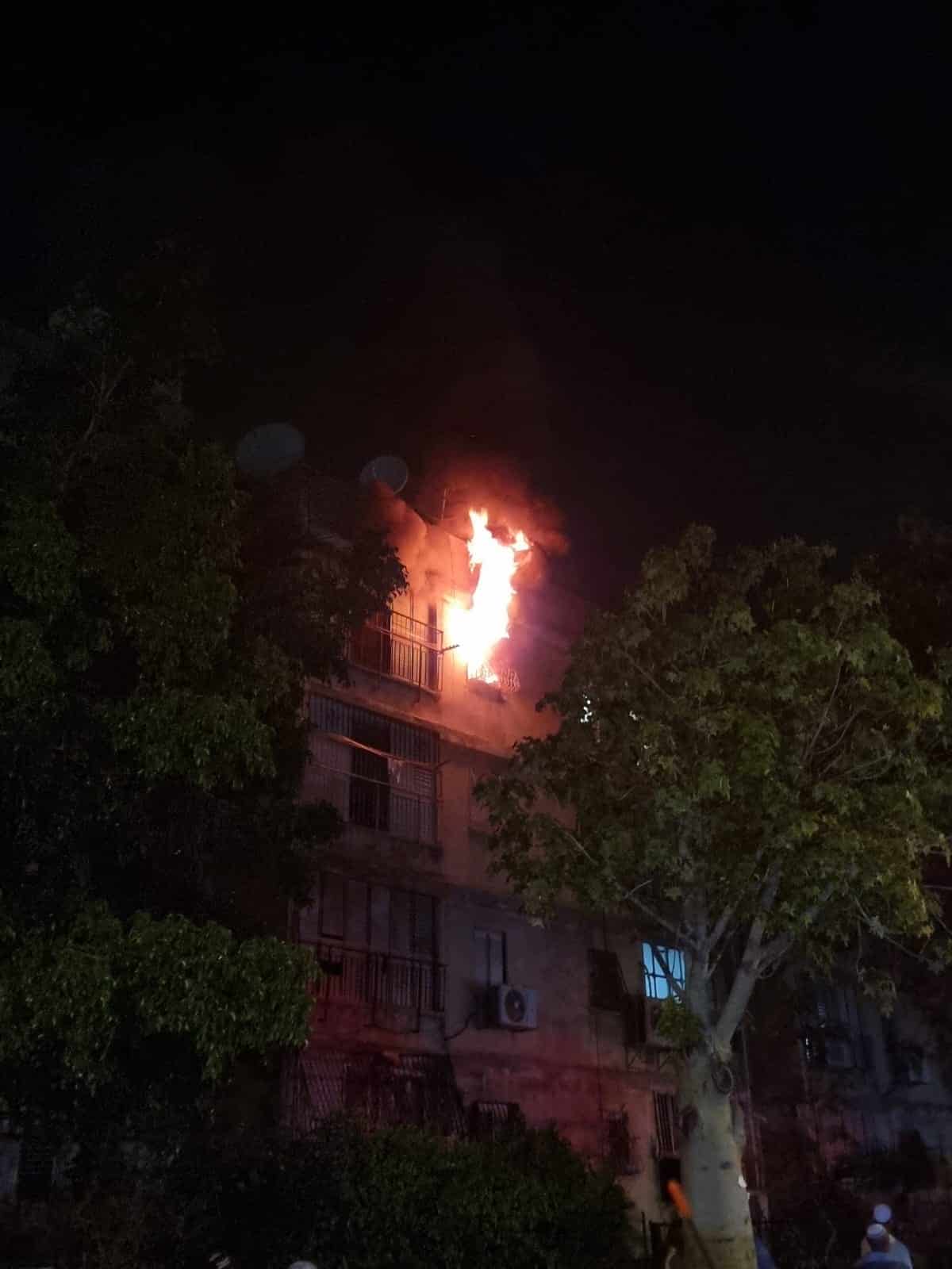 חתול חולץ משריפה בדירה בראשון לציון