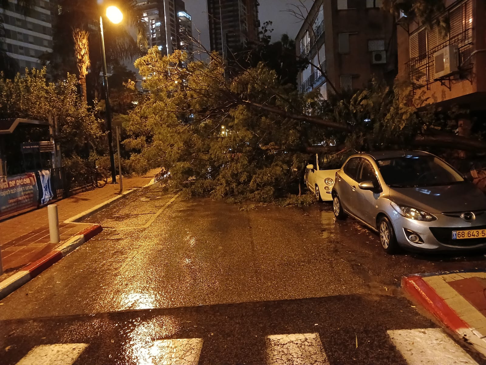 בעקבות הסופה: עץ נפל וחסם את התנועה