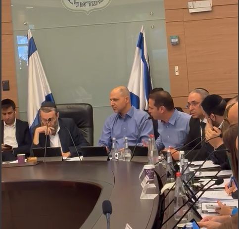 קינסטליך בוועדת הכספים- צילום: דוברות ראשון לציון