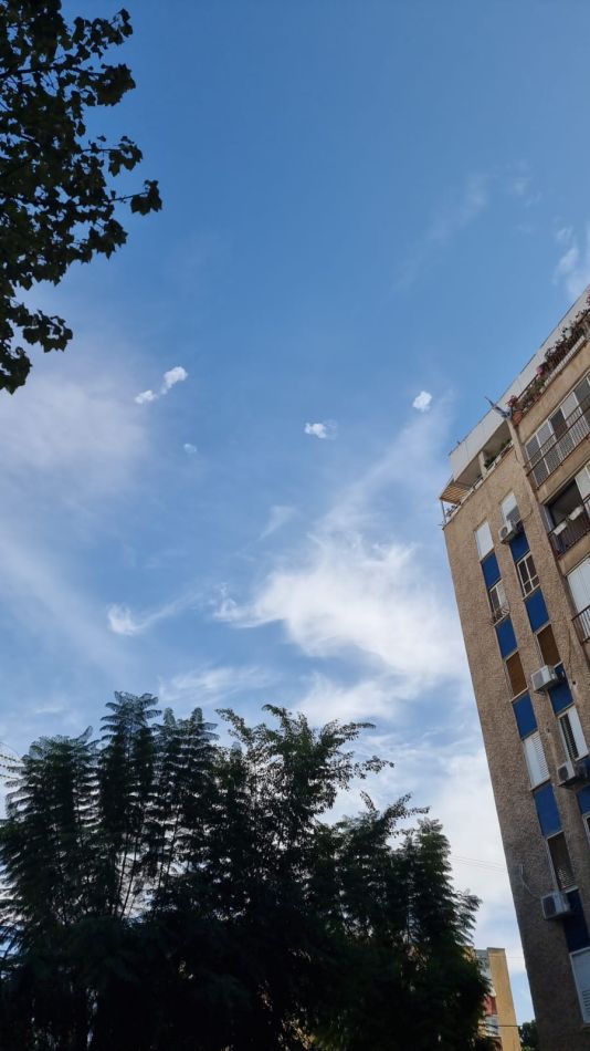 צילום: רועי צינמון
