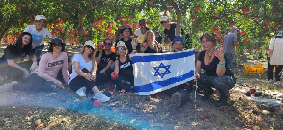 צילום: עיריית חולון