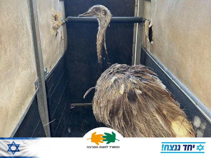 ברוך בואך לראשון לציון! צילום: רשות הטבע והגנים