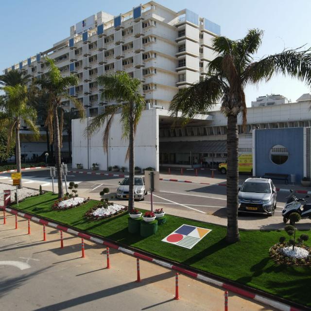 צילום: דוברות וולפסון
