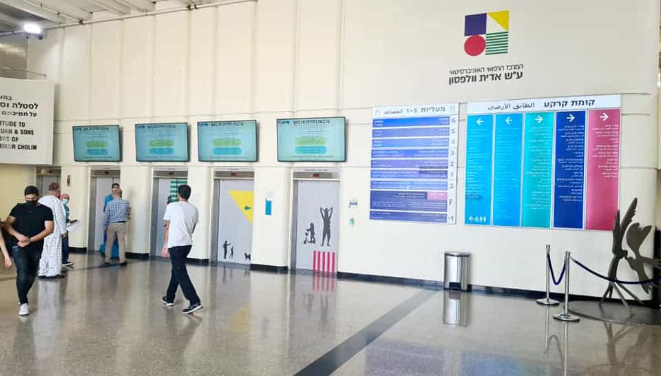 צילום: דוברות וולפסון