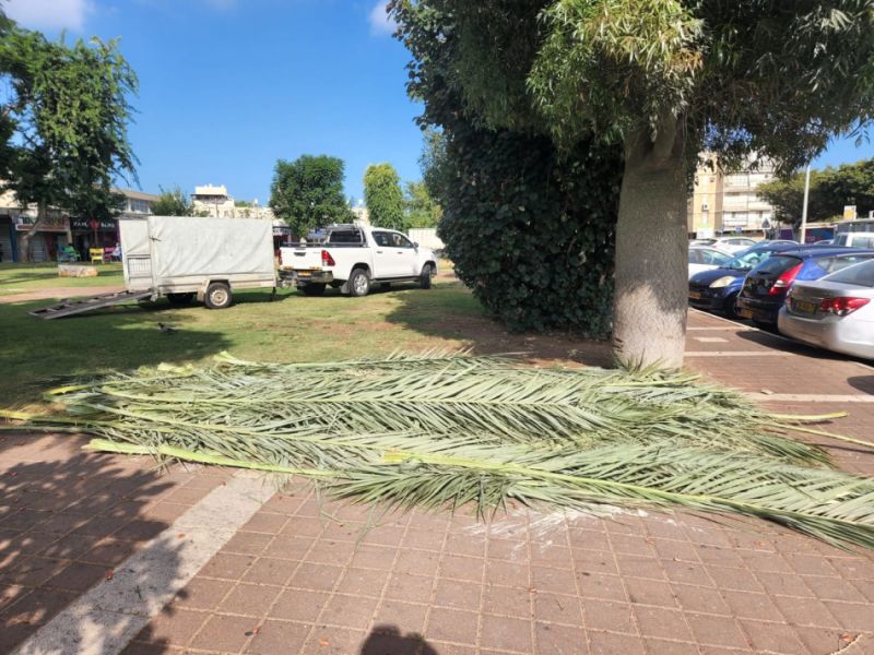 צילום: דוברות עיריית בת ים