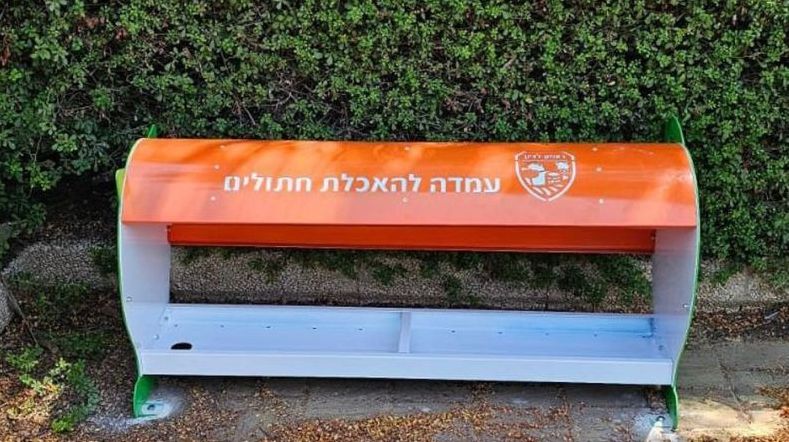 הוצבו בראשון לציון מתקנים להאכלת חתולים