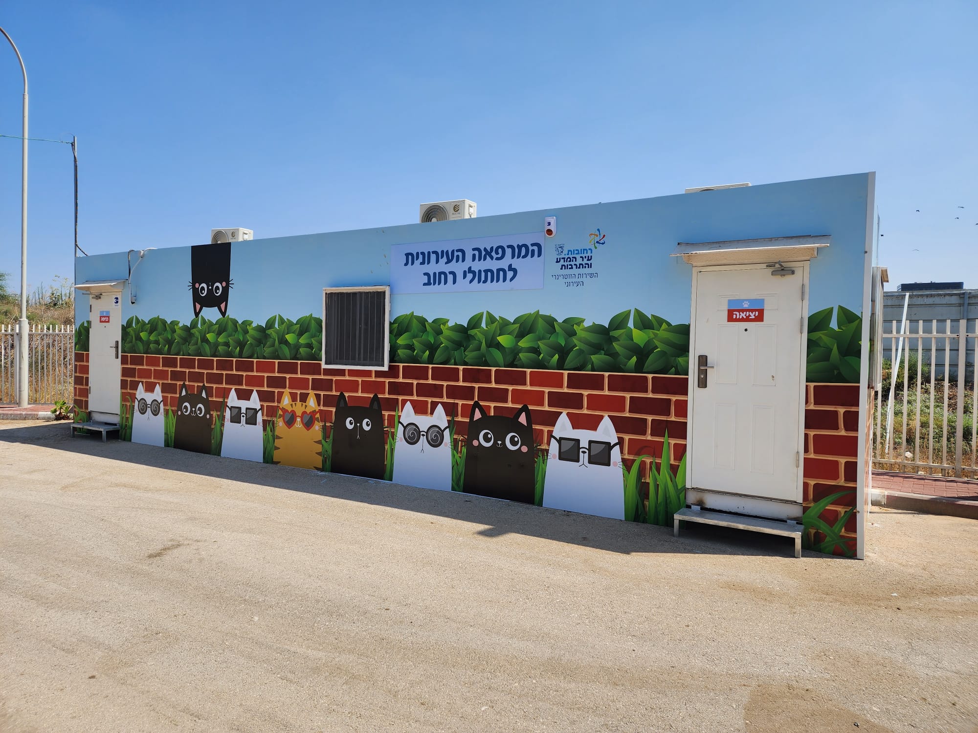 בשורה לחתולי הקהילה ברחובות &ndash; מרפאה ייעודית בשירות הווטרינרי העירוני