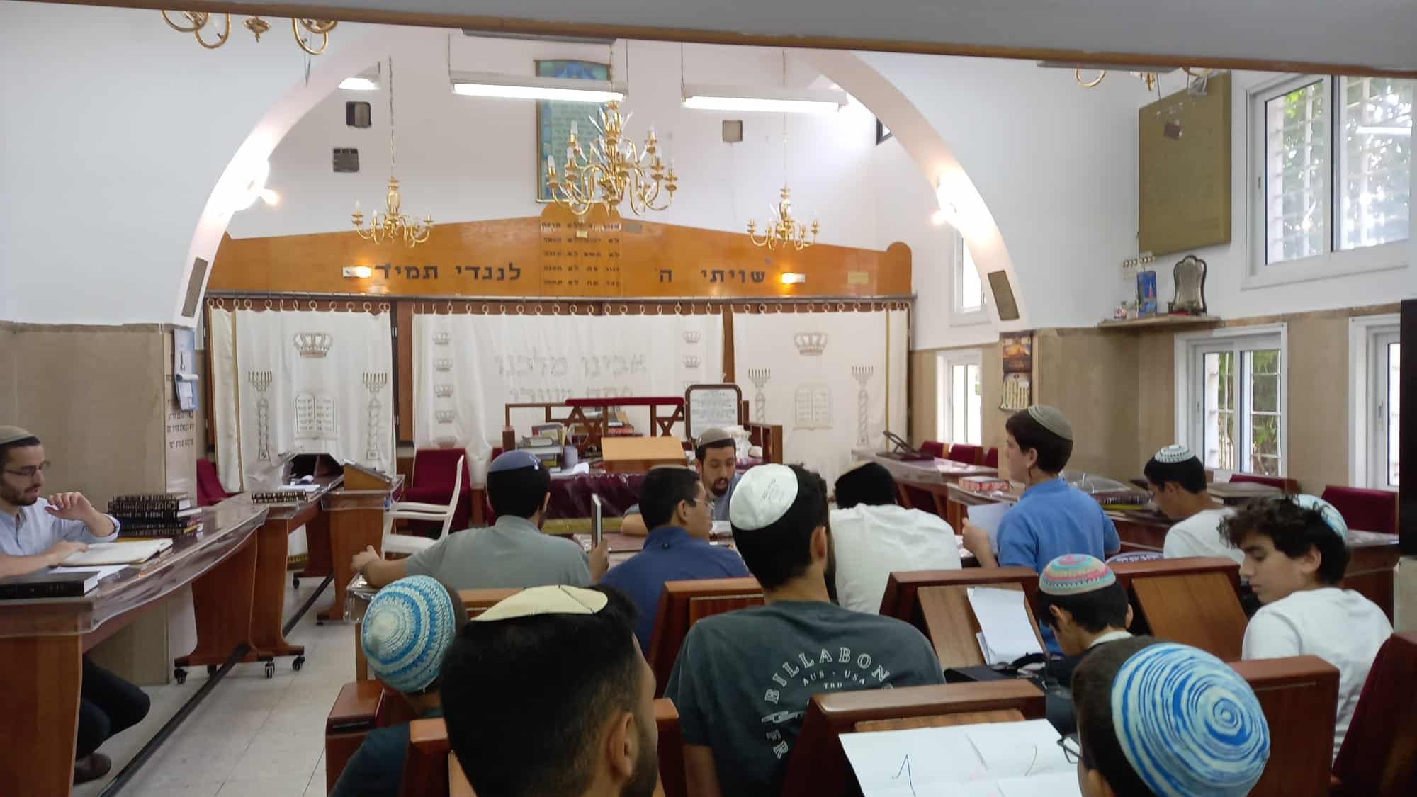 צילום: גל גפן