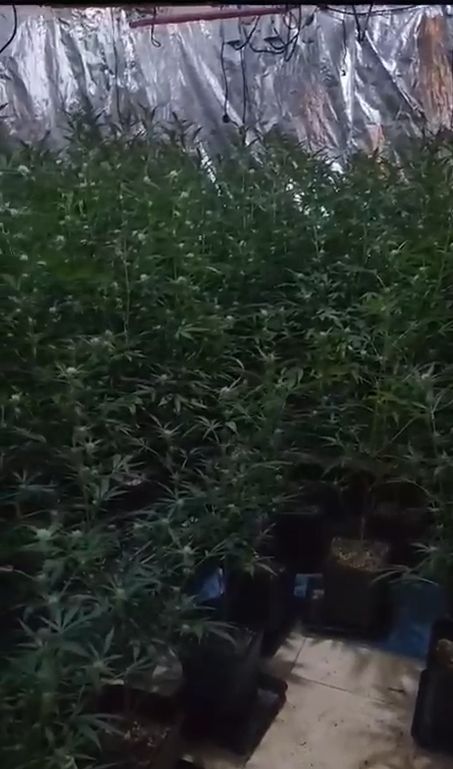 נחשפה מעבדת סמים ענקית בראשון לציון