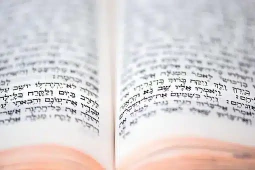 אילוסטרציה: PIXABAY