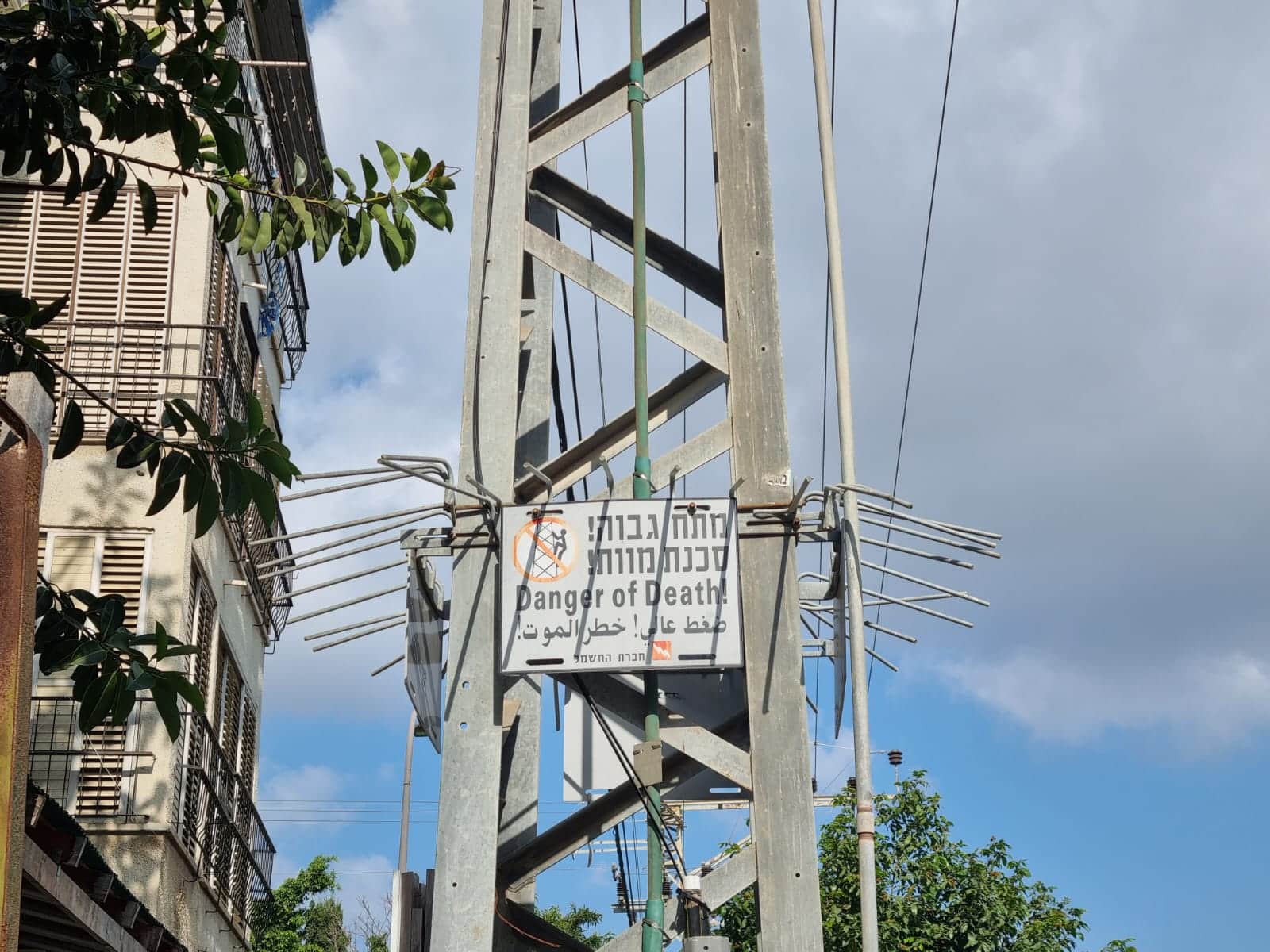 צילום: גל גפן