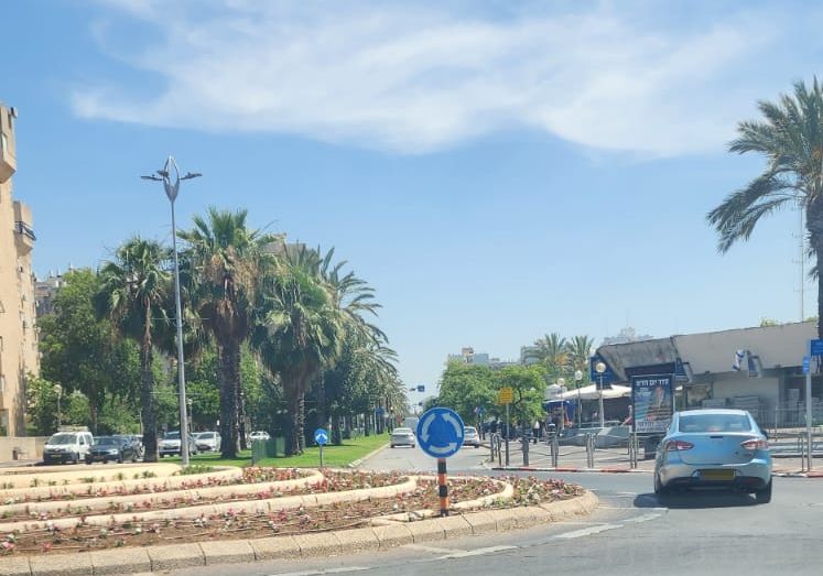 חולון: בשלישי, עבודות טיפול בעצים בשכונת קריית שרת