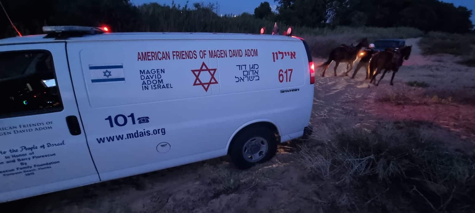 תושב ראשון לציון נפגע מסוס שבעט בו