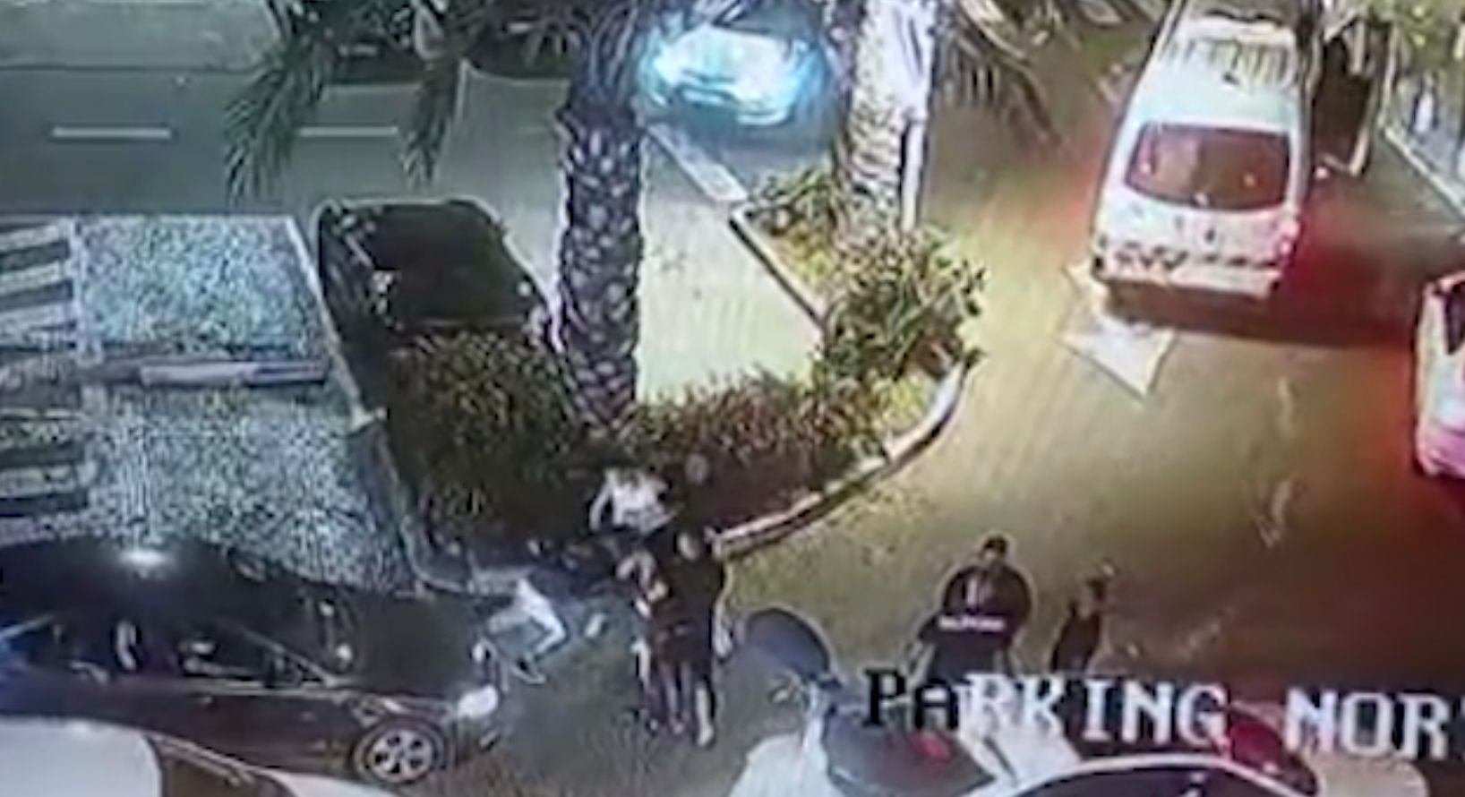 צילום ארכיון: דוברות משטרת ישראל