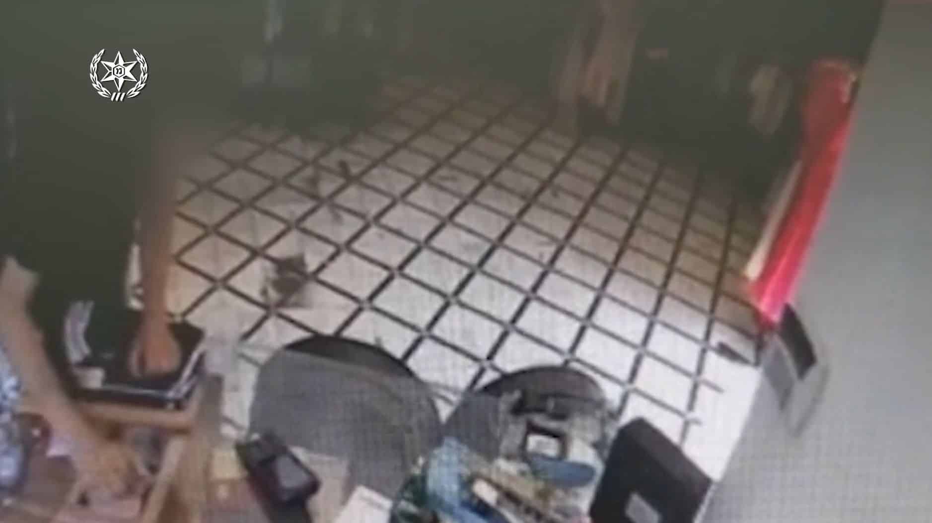 צילום: דוברות משטרת ישראל