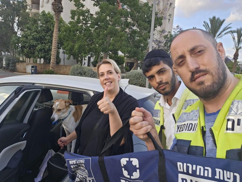 בסוף השבוע: 3 כלבים חולצו מרכבים בחולון